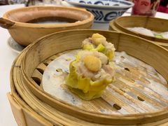 -京华世纪酒店·潮苑大酒楼(益华百货店)