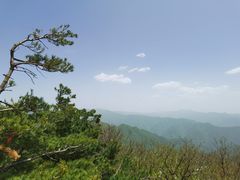 -牛背梁国家森林公园