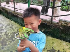 -呀诺达热带雨林
