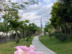 -深圳湾公园(南山区)