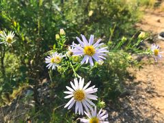 -蟠龙山长城景区