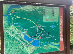 -风云岭森林公园