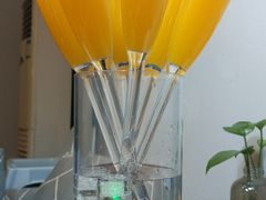 -吃饼人西餐(南开店)