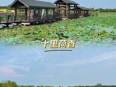-东丽湖风景区
