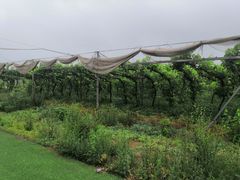 -亲兄弟真人CS团建拓展基地