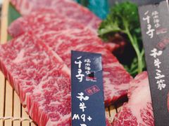 -千寻山野烤肉(中关村店)
