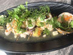 -Hi City·城市之巅