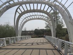 -九里河湿地公园
