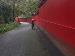 -峨眉山报国寺