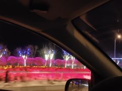 -卧龙湖