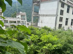 -四川汶川特大地震漩口中学遗址