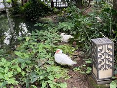 -七仙岭君澜度假酒店