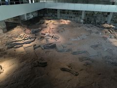 -自贡恐龙博物馆