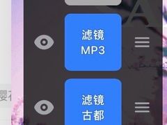-高东镇樱花园