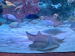 -沈阳海洋探索中心