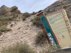 -中华福寿山