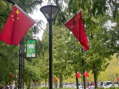 -黄海国家森林公园