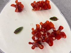 -柿合缘新京菜(国金中心商场店)