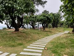 -白云山风景名胜区