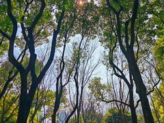 -徐家汇源景区-衡山公园