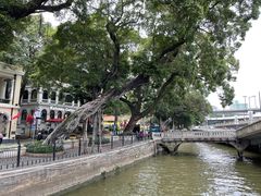 -广东胜利宾馆西关粤中餐厅