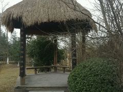 -合肥三国新城遗址公园