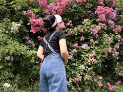 -太阳宫公园
