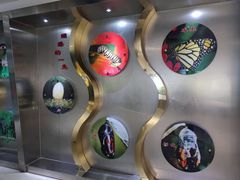 -上海昆虫博物馆