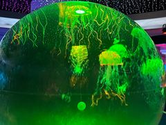 -常州海昌海洋探索馆