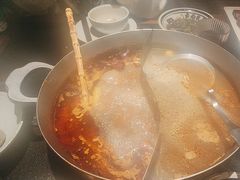 -滇牛云南火锅(桂林路店)