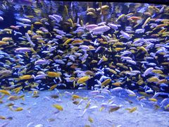 -成都浩海立方海洋公园