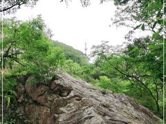 -紫金山天文台
