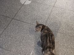 -谜盒子奇幻密室(南屏店)