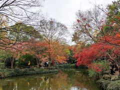 -秋霞圃