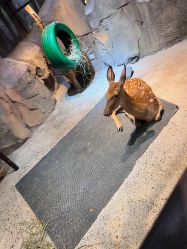 -酷嗒动物文化乐园(cutezoo西溪乐天城店)