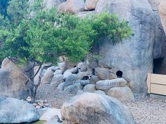 -圣地亚哥动物园