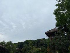 -杭州开元森泊度假乐园