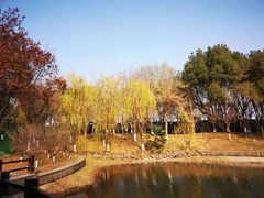 -天目湖山水园