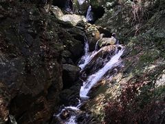 -梧桐山风景名胜区