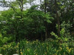 -大连植物园