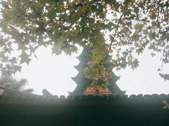 -金姐烤冷面(大沙泥街店)