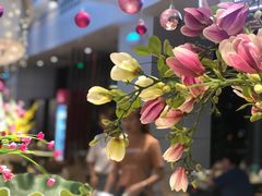 -凯悦·东方公主号 全球海鲜自助餐厅(凯丹广场店)
