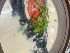 -全乐鱼馆·淳牌有机鱼直营店