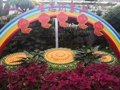 -兰陵国家农业公园