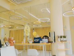 -勇气斑马·巴西柔术&跆拳道(浦东三林店)