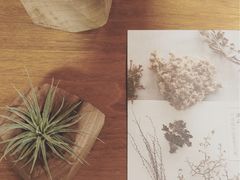 -梵几(东信·和创园店)