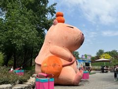 -北京野生动物园