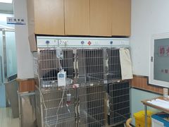 -宠福鑫动物医院(城北分院)