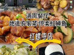 -丽泽山庄·生态怀柔菜·虹鳟鱼(红螺寺店)