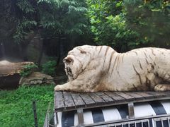 -上海野生动物园